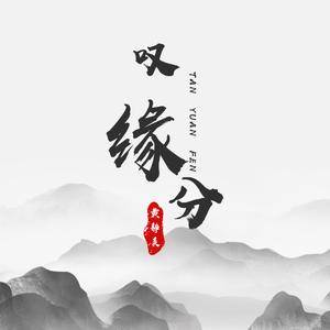 叹缘分 (DJ版)